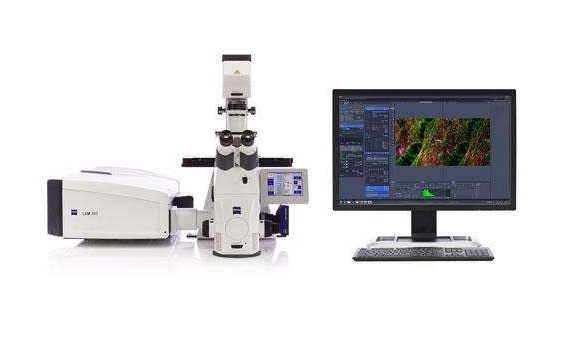 西北农林科技大学激光共聚焦显微镜成交公告